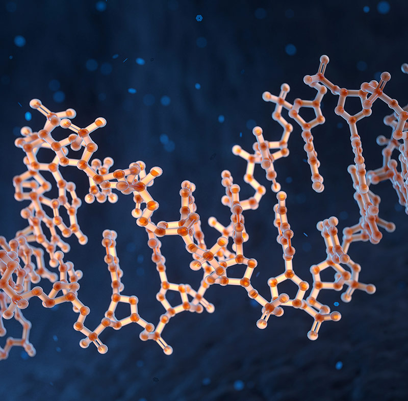 3D rendering of a red-and-orange molecular strand against a blue background.